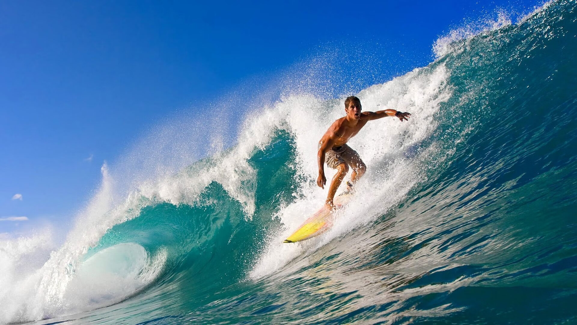 世锦赛巅峰对决,新星崛起与传统强队的较量